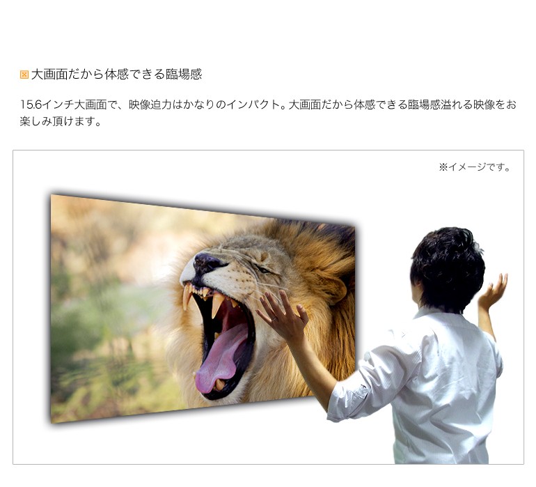 フリップダウンモニター 15.6インチ リアモニター スリム設計 : 防犯 