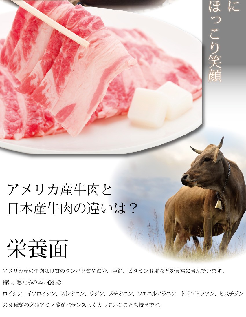 業務用 牛肉 牛バラ メガ盛り １ｋｇ 牛丼 焼肉 バーベキュー 家庭料理 :gyu-bara:おどろき市場.net - 通販 -  Yahoo!ショッピング