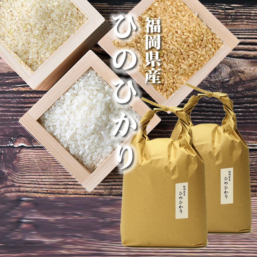 米 お米 10kg ヒノヒカリ 10kg 5kg×2袋 令和4年産 / ギフト お取り寄せグルメ  特A 福岡県
