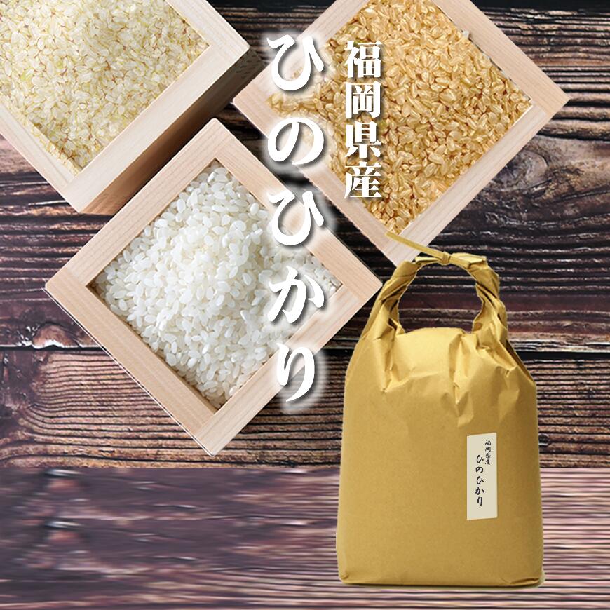 九州の美味しいお米