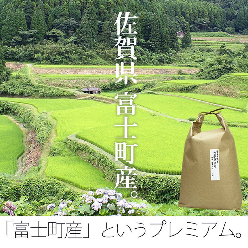 さがびより 母の日ギフト お米 5kg 特A 棚田米 5kg×1袋 令和6 さがびより 母の日ギフト お米 5kg 特A 棚田米 5kg×1袋 令和6