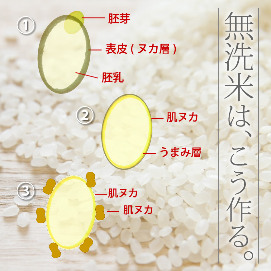 米 無洗米 5kg×2 ヒノヒカリ 10kg 令和3年産 / お取り寄せグルメ 特A 福岡県 :musenmai:おどろきっちん - 通販 -  Yahoo!ショッピング