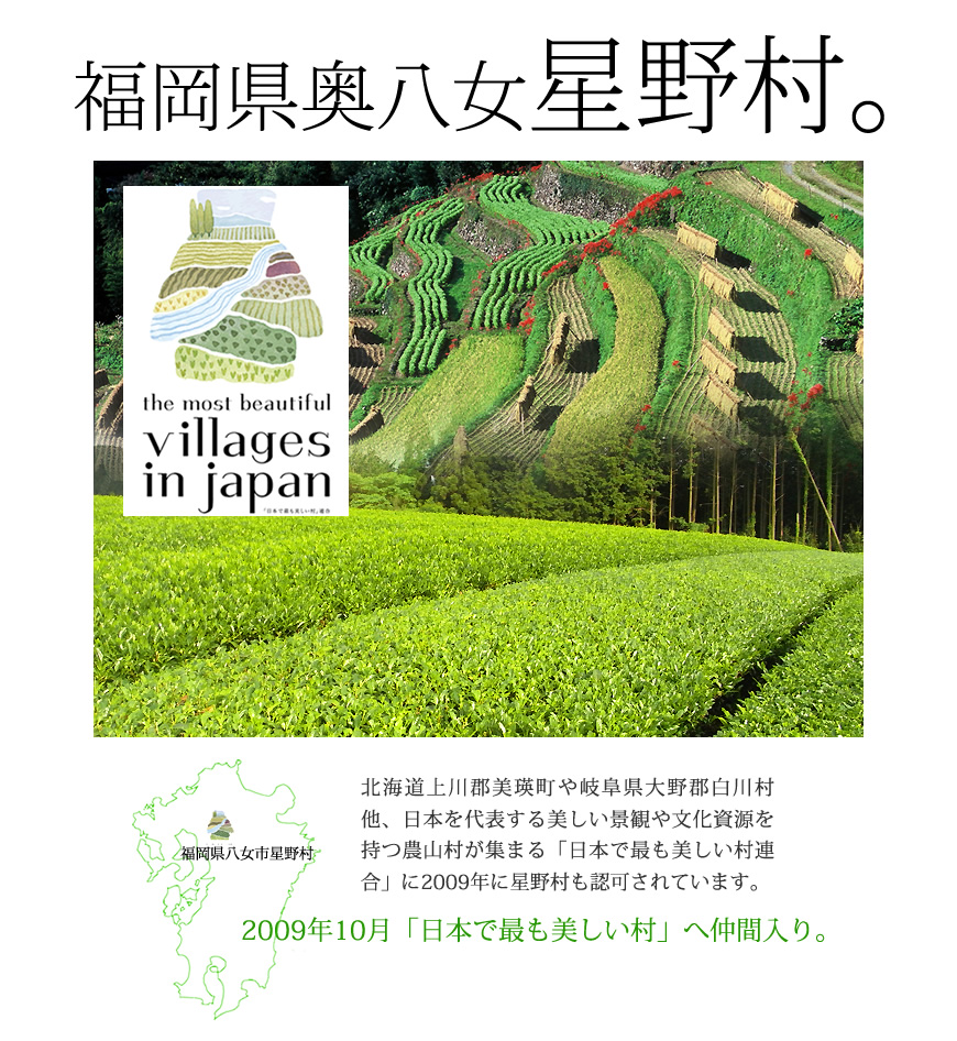 新茶】お中元ギフト 2025年産 高木茶園の伝統本玉露 50g