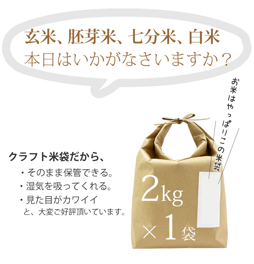白米10Kg袋（とちぎの星 令和6年度産）／ご注文はお米全種類