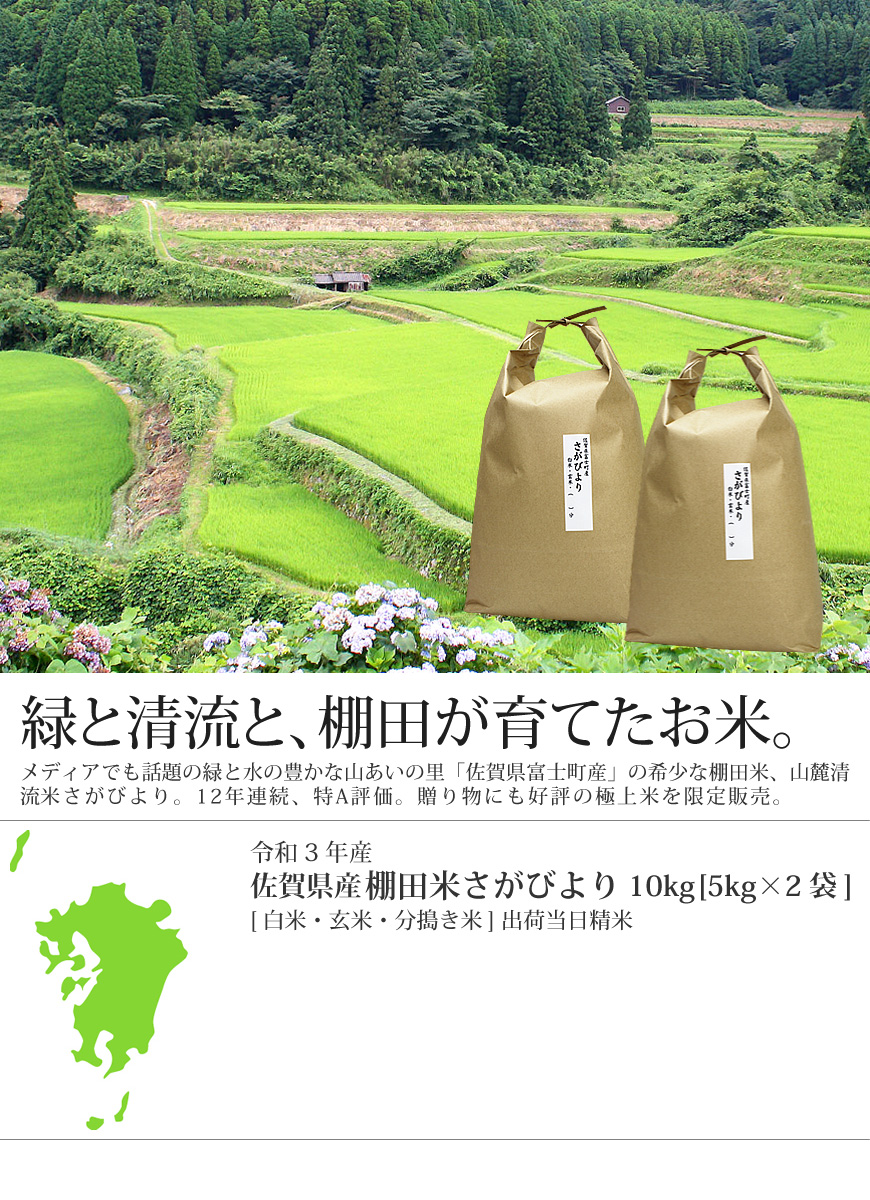 気質アップ 令和4年産棚田で育った特Aさがびより10キロ新米