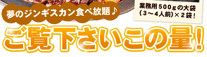 ご覧下さいこの量！