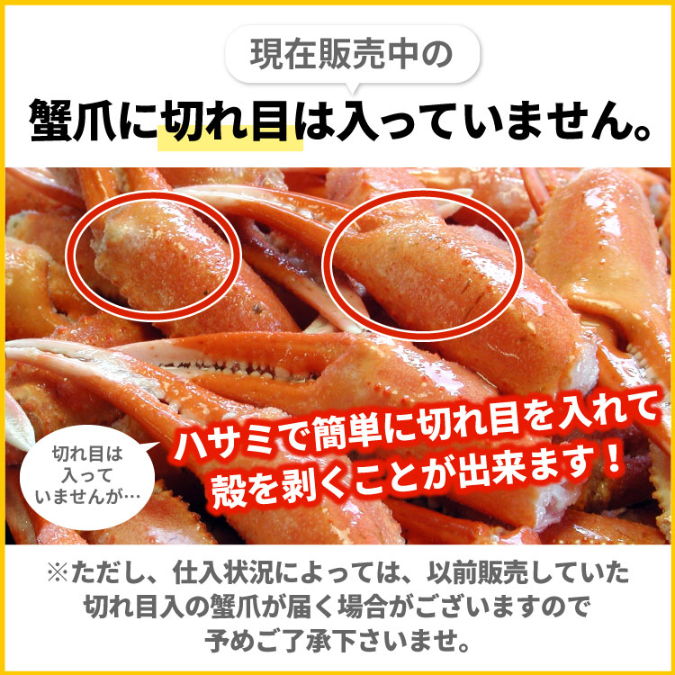 切れ目入