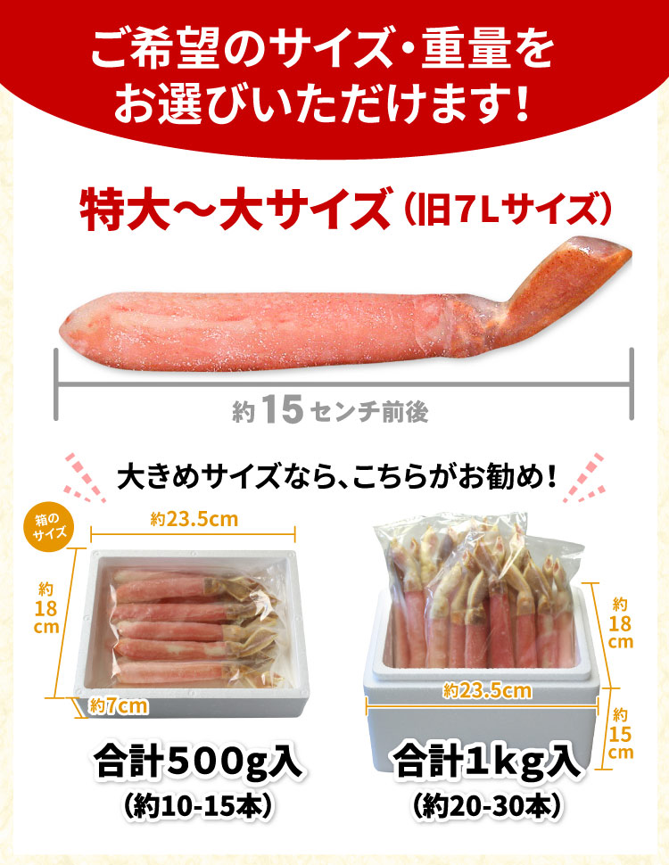 特大-大サイズ