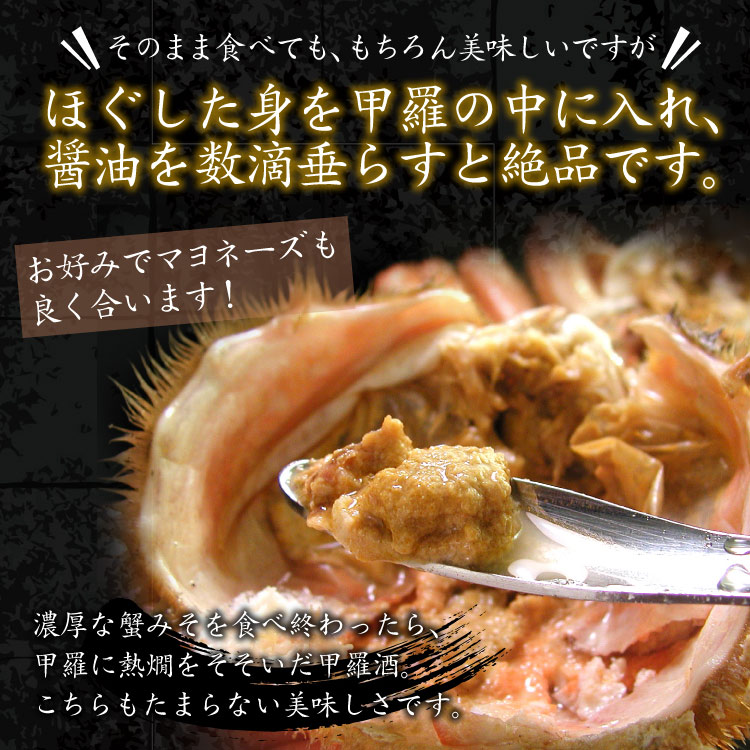 甲羅に入れて！