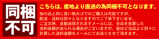 同梱不可について