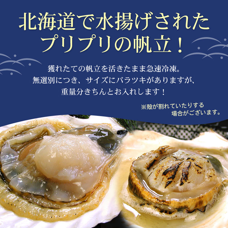 プリプリのほたて