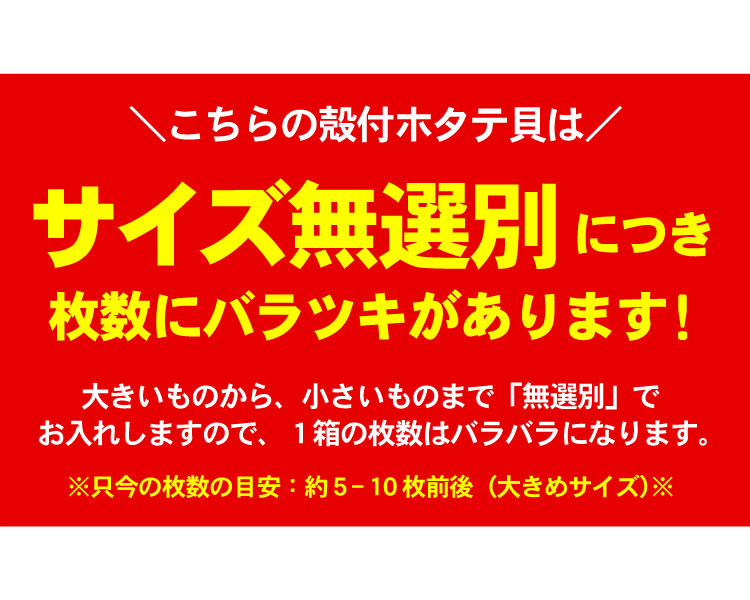 サイズ無選別