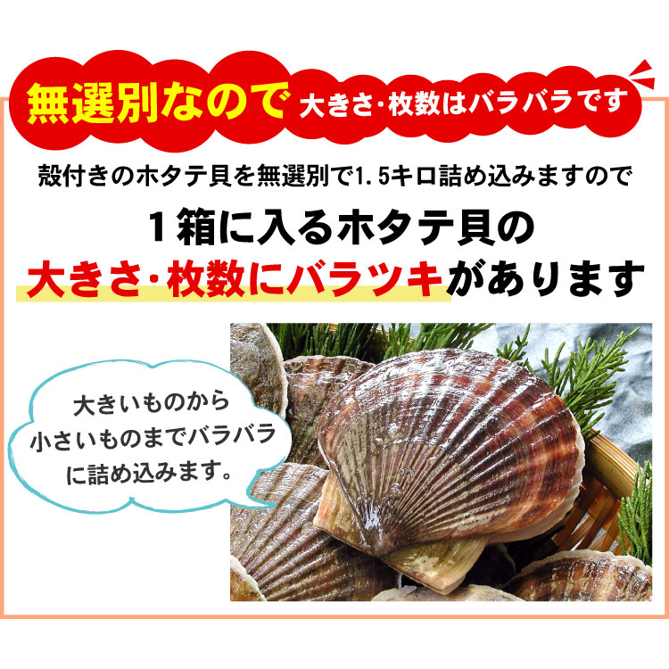 バラツキ