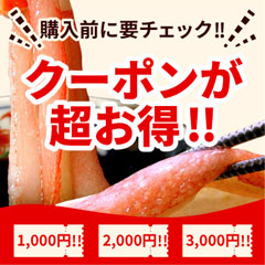 お得★クーポン特集