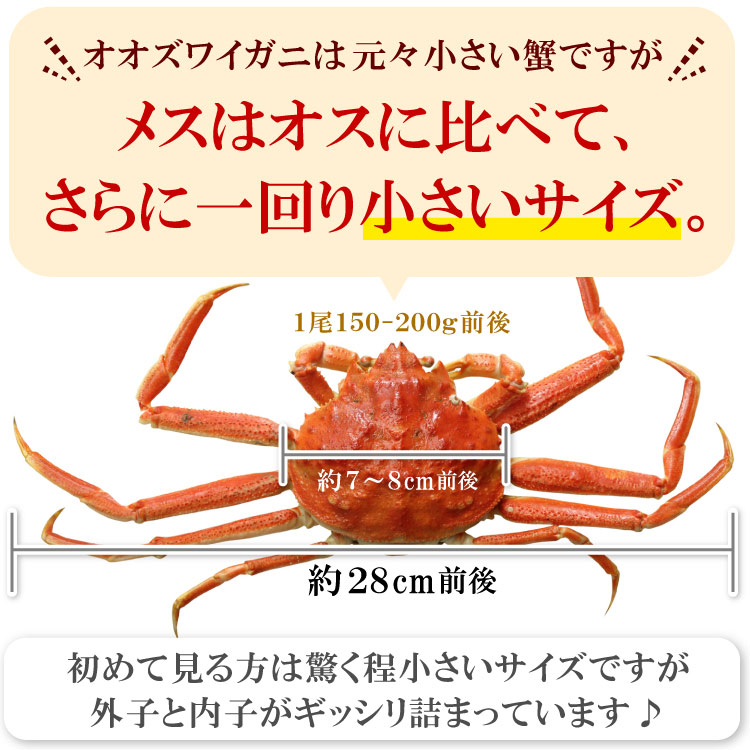 小さいサイズ