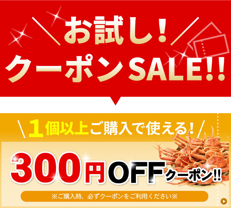 300円OFFクーポン