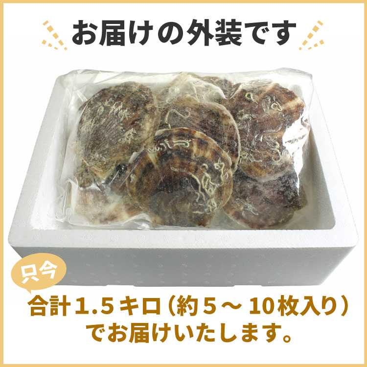 殻付き 北海道産 ホタテ 合計1.5キロ ほたて 冷凍 業務用パック 送料