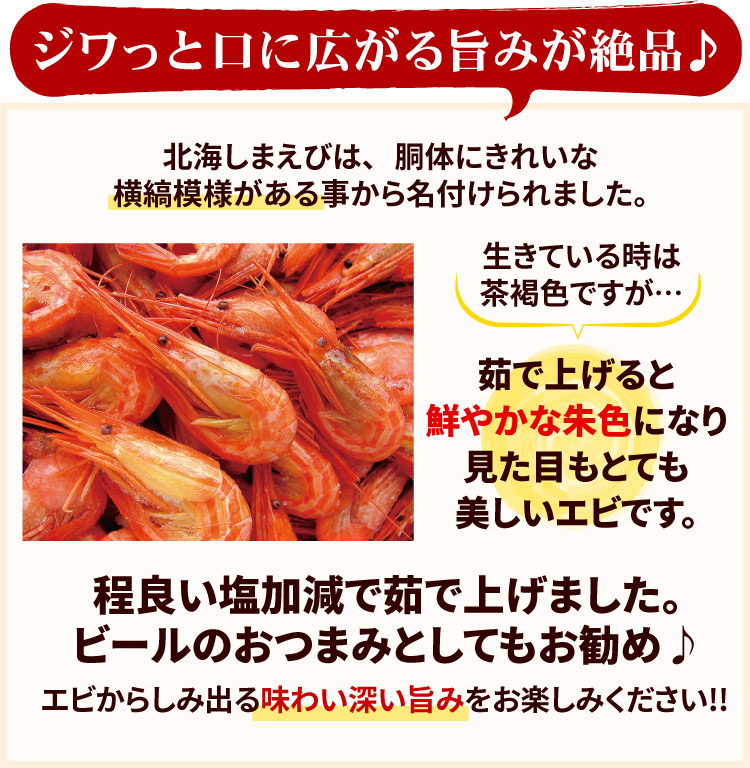 シマエビとは…