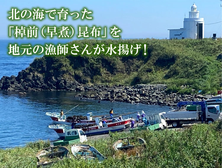 水揚げ