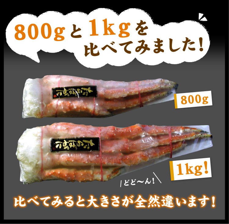 比べてみました