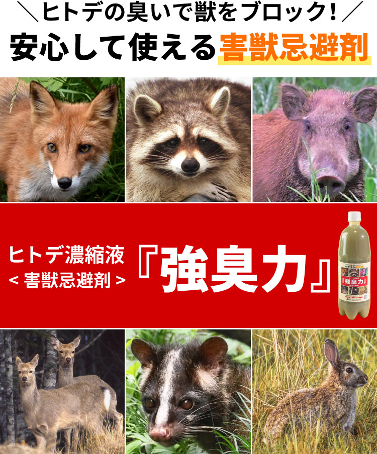強臭力
