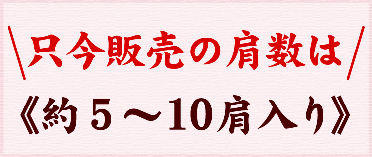 肩数