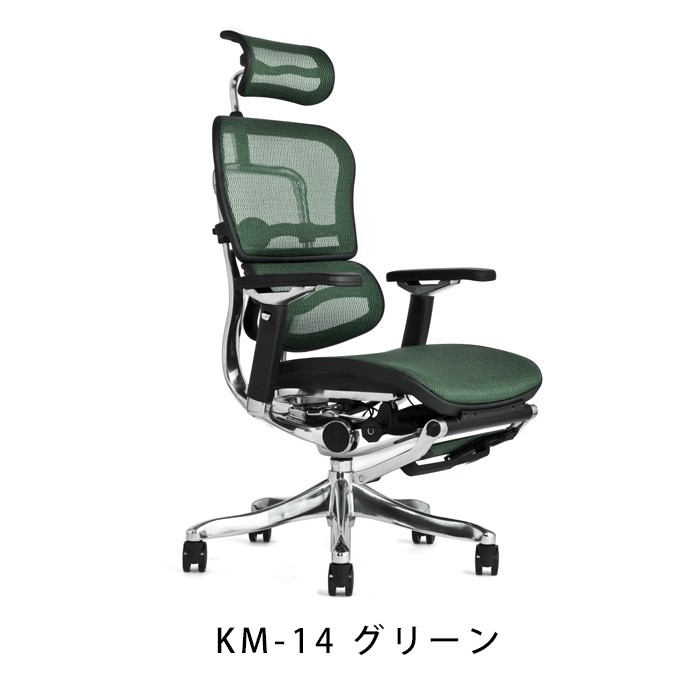 正規品保証 Ergohuman fit ottoman オットマン内蔵型タイプ インテリア