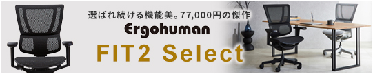 エルゴヒューマンSE