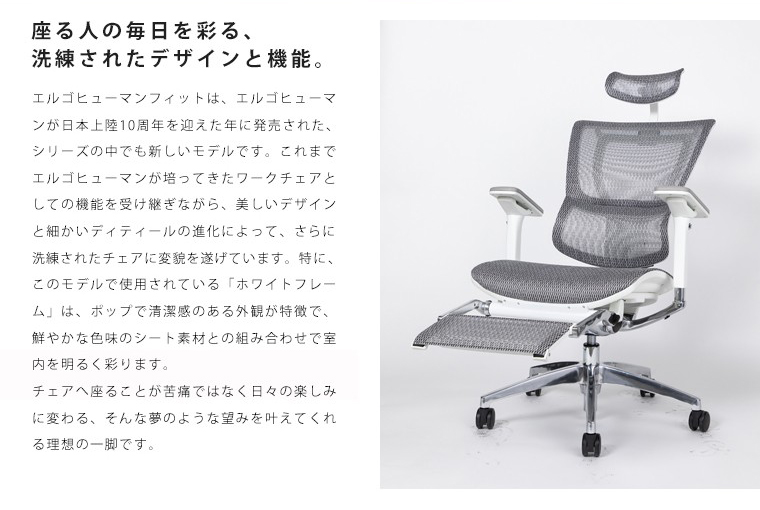 最新の激安 エルゴヒューマンフィット オットマン内蔵型タイプ Ergohuman Fit Ottoman ブラック エラストメリックメッシュ ブラック Km 11 完成品 格安即決 Zoetalentsolutions Com