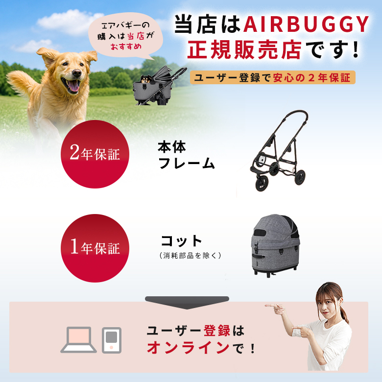 特典付き AIRBUGGY DOME3 ラージ SET エアバギー ドーム コット