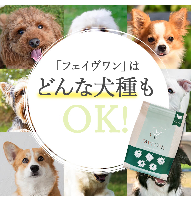 フェイヴワン 全犬種用ドッグフード（チキン） ミシュワン