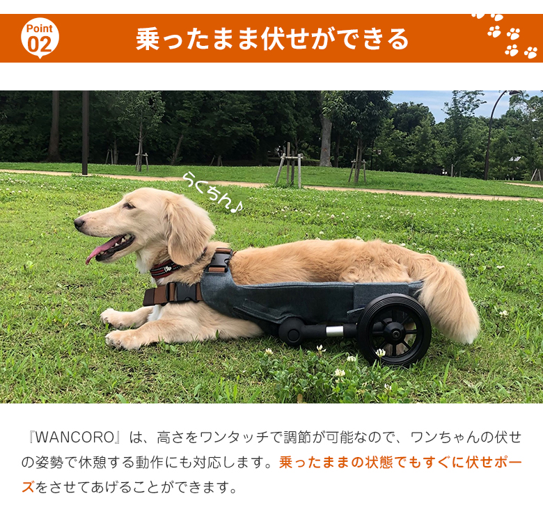 犬用車椅子 WANCORO ワンタッチ サイズ調整 小型 サポートカート 