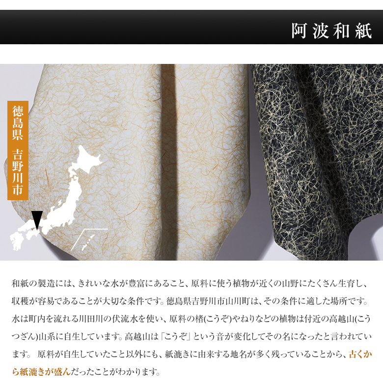 tesaho 阿波和紙 東京豚革 ピッグスエード カードケース 名刺