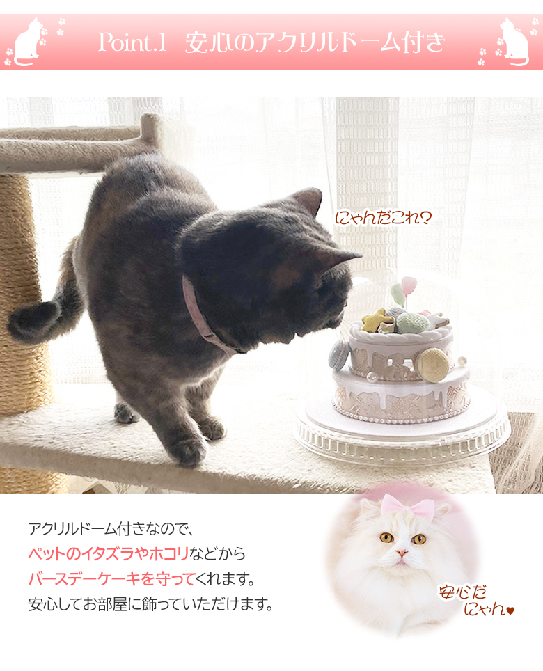 ペットパーティー バースデーケーキ Pet Party フェイクケーキ