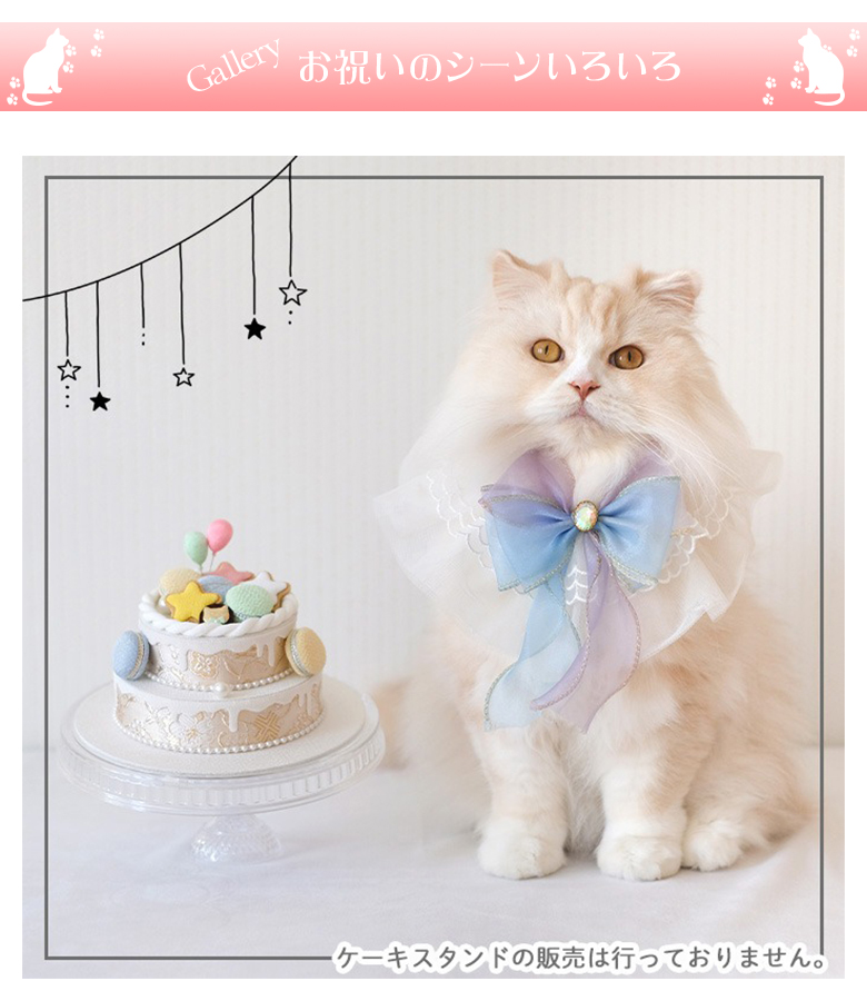 ペットパーティー バースデーケーキ Pet Party フェイクケーキ
