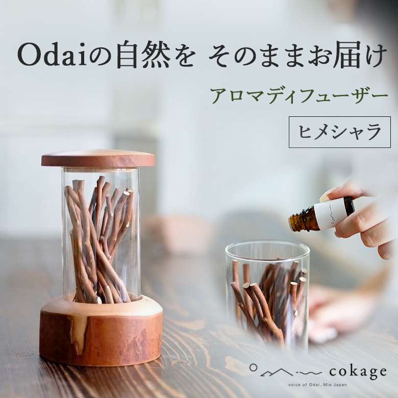 doi039401a.jpg