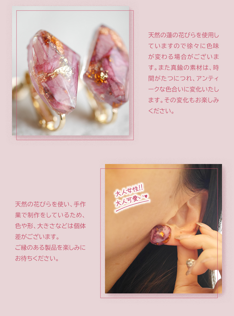 doi058806.jpg