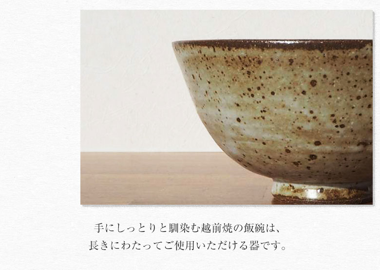 豊彩窯 飯碗 越前焼 茶碗 和食器 洋食器 おしゃれ 日本製 ちゃわん