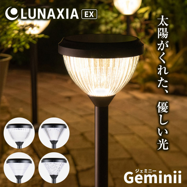 Guillaumin、PAYSAGE、海外版超希少レゾネ、新品額付 THE SCAPE OF GREEN やみつきサイフPREMIUM ＃イタリアンレザー BLACK