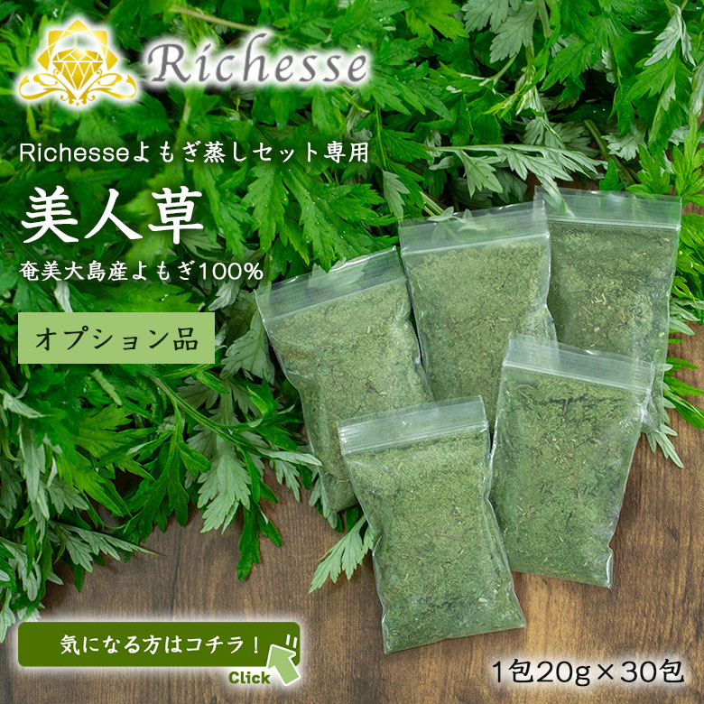 よもぎ蒸し　よもぎ　大特価！！ Richesse 黄土よもぎ蒸しフルセット スターターセット フルセット
