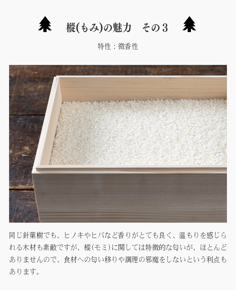 樅100 最後の１粒まで取り出しやすい米びつ 5kg用 おひつ ライス