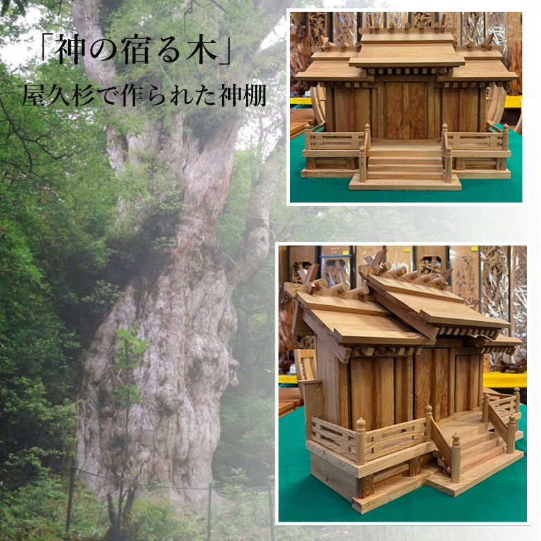 屋久杉の神棚三社 モダン シンプル 壁掛け 三社 工芸品 伝統工芸 職人