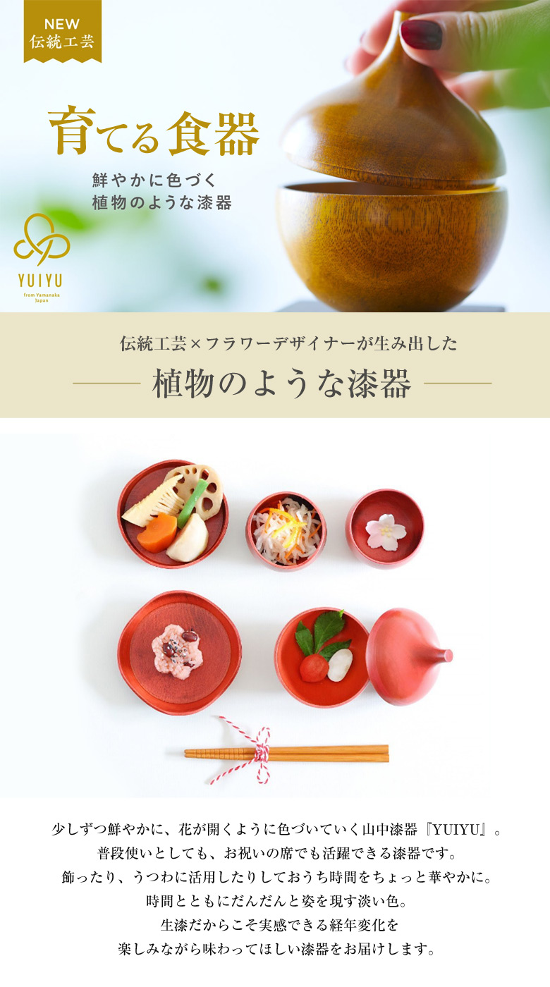業務用　和食器　割烹　日本料理　47枚 washokuHeader_600x600_crop_cen