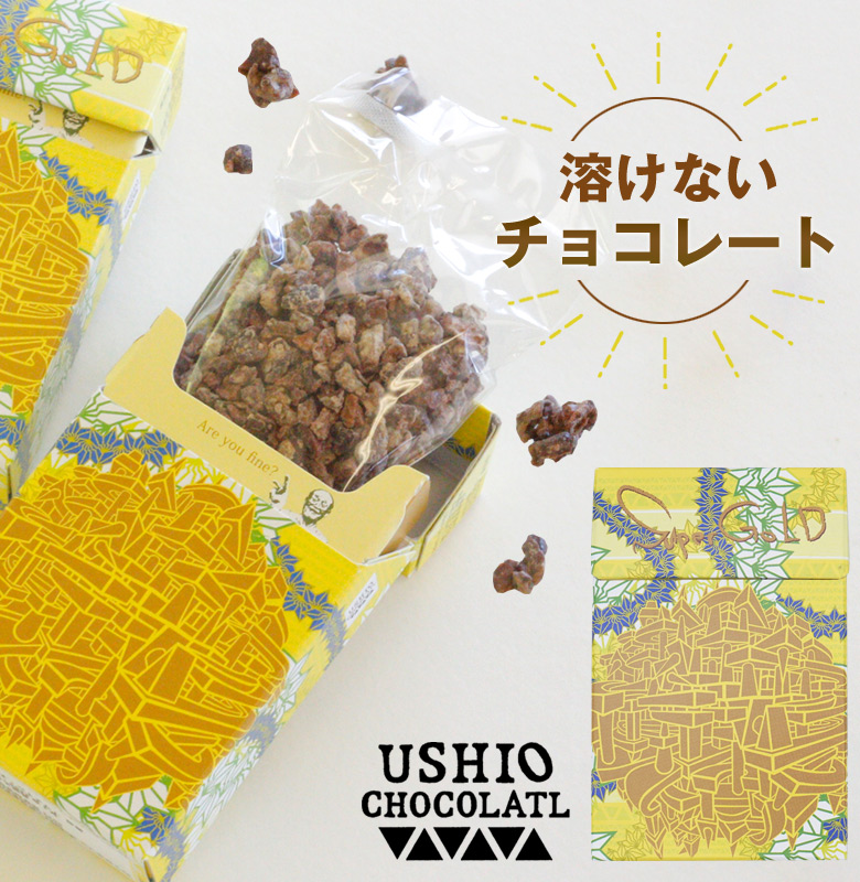 USHIO CHOCOLATL クラックヒップカカオ お菓子 チョコレート チョコ