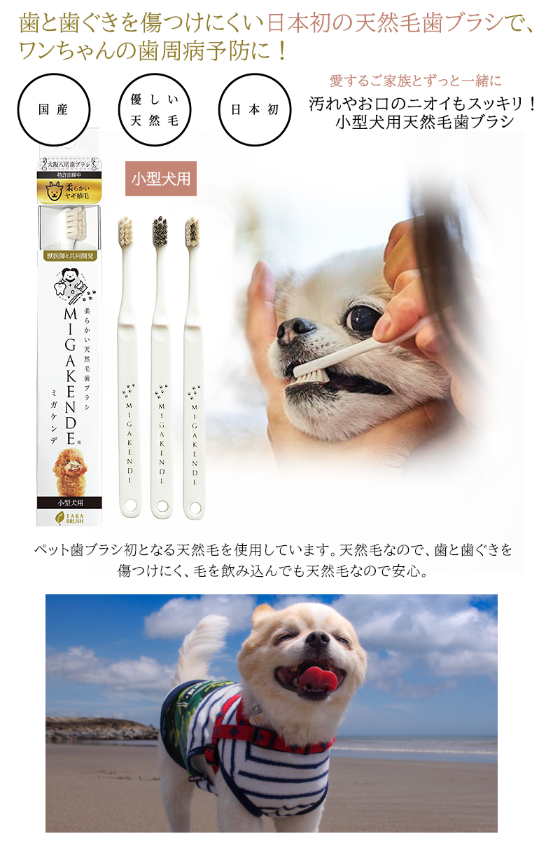 ミガケンデ 歯ブラシ」と「ペット専用歯磨きジェル ペティ86g
