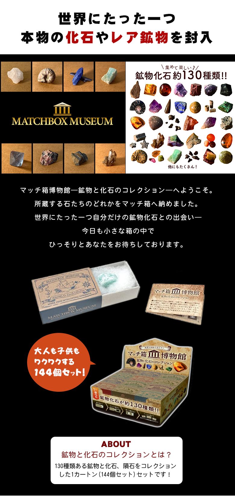 化石や鉱物が入っているマッチ箱博物館 1カートン(144個セット) 鉱物と