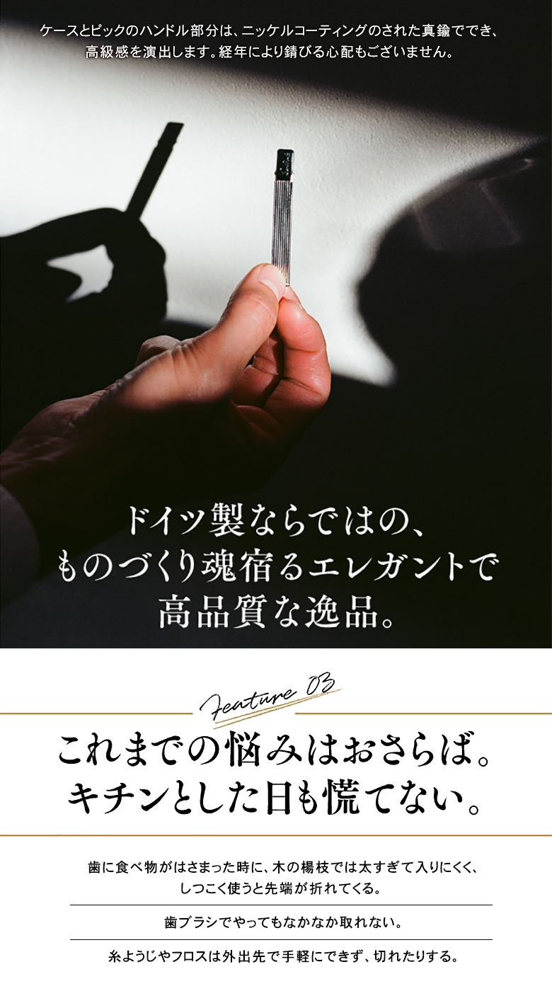 Sanident サニデント トゥースピック 正規販売店 爪楊枝 つまようじ 食後 エチケット 会食 商談 歯 歯間 食べ物 食事 挟まり 詰まり  携帯 コンパクト 抗菌 銀