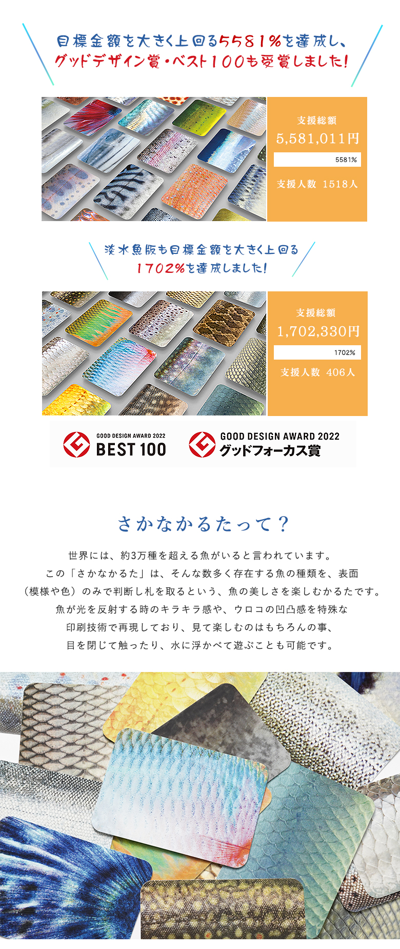 残り1点? 魚カルタ さかなかるた フィッシュ デザイン 遊び
