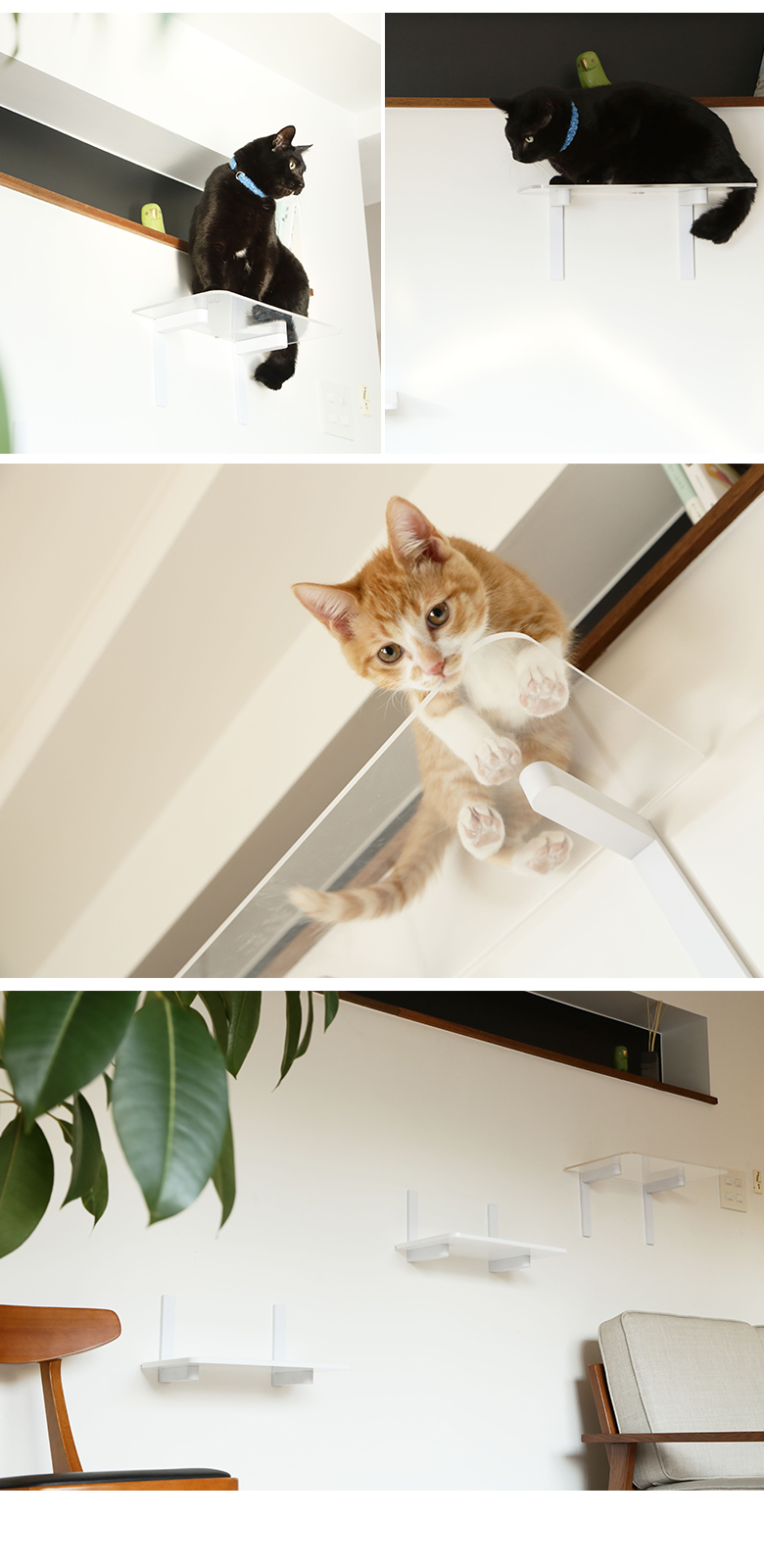 あーみ★CANDY猫トップス2点セット あーみ様専用☆CANDY猫トップス2点セット