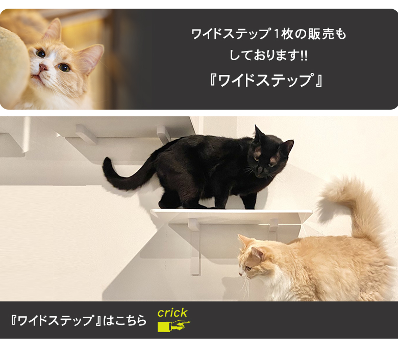 animacolle アニマコレ ワイドステップ 透明3枚セット キャット